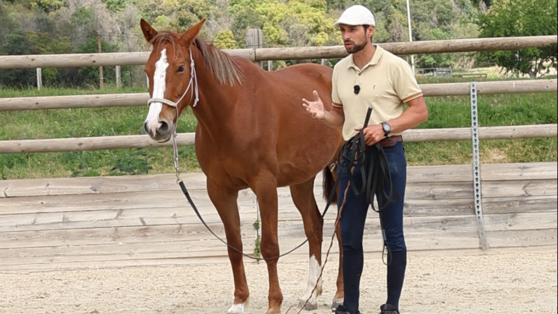 Killian Mangano coach équitation en ligne travaillant un cheval à pied