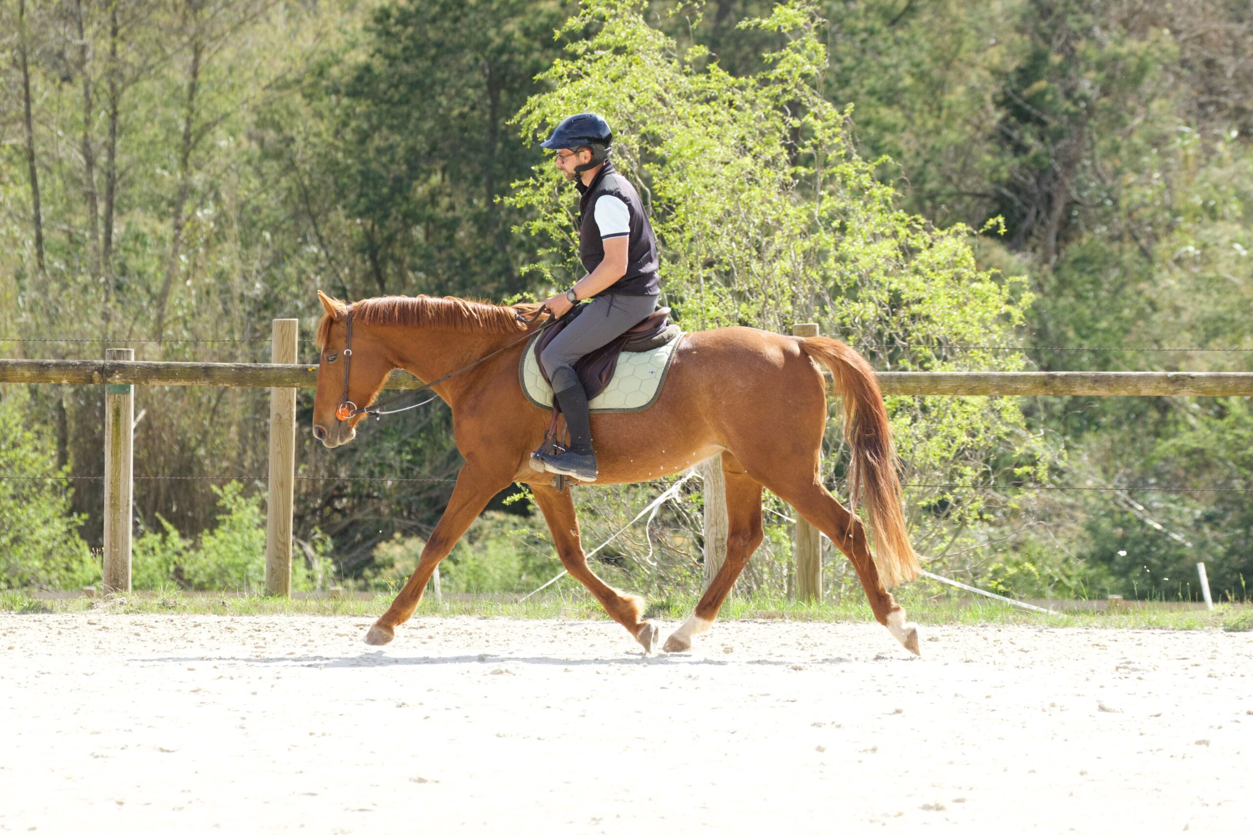 Cavalier au trot lors d'un stage équitation avec Killian Mangano coach équitation en ligne analyse vidéo